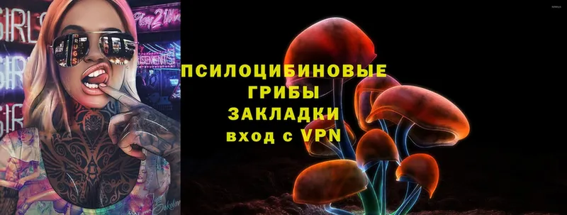 Псилоцибиновые грибы MAGIC MUSHROOMS  Красноярск 